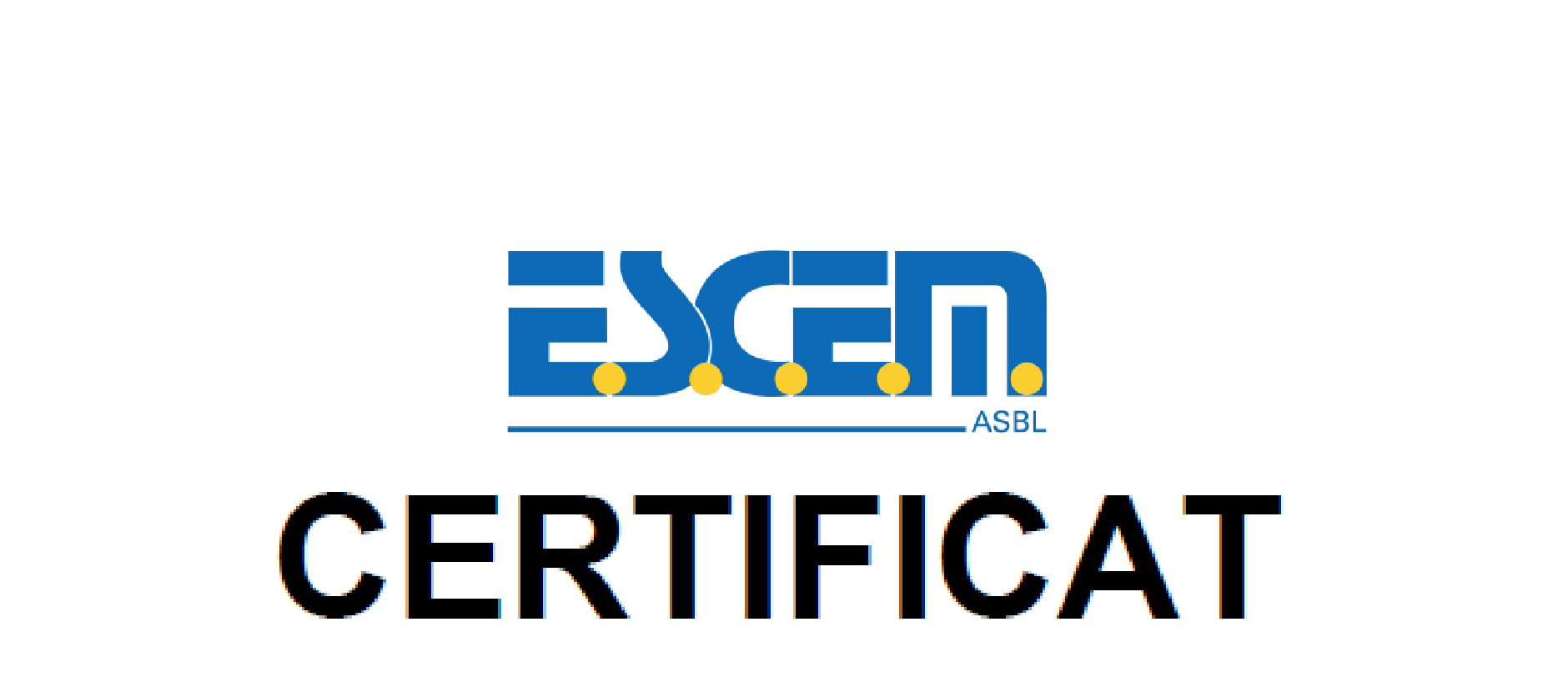 Image for Certification ISO 9001